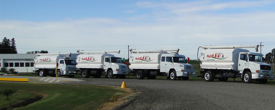 Nuestra moderna flota de camiones nos permite atender al mercado de Entre Ríos y del sur de Corrientes.